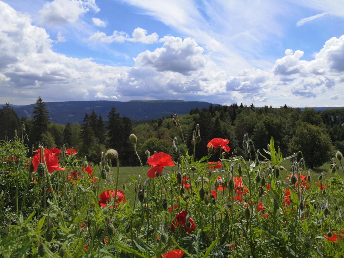 Schöne Aussicht Hotel Masserberg