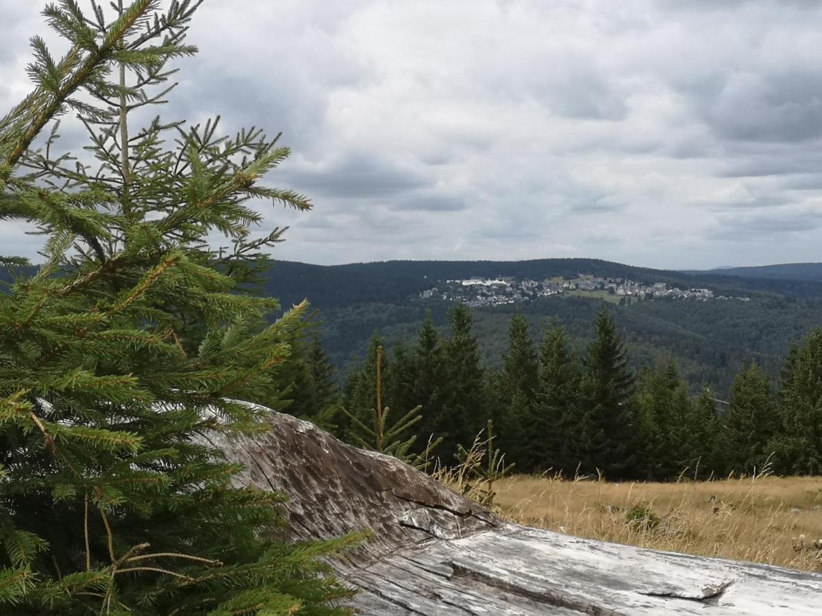 Schoene Aussicht