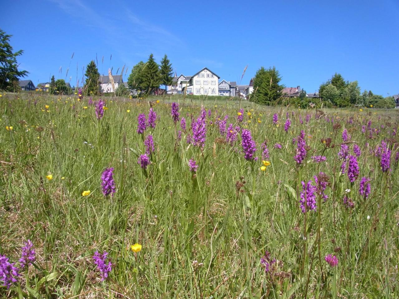 Hotel Schoene Aussicht Masserberg